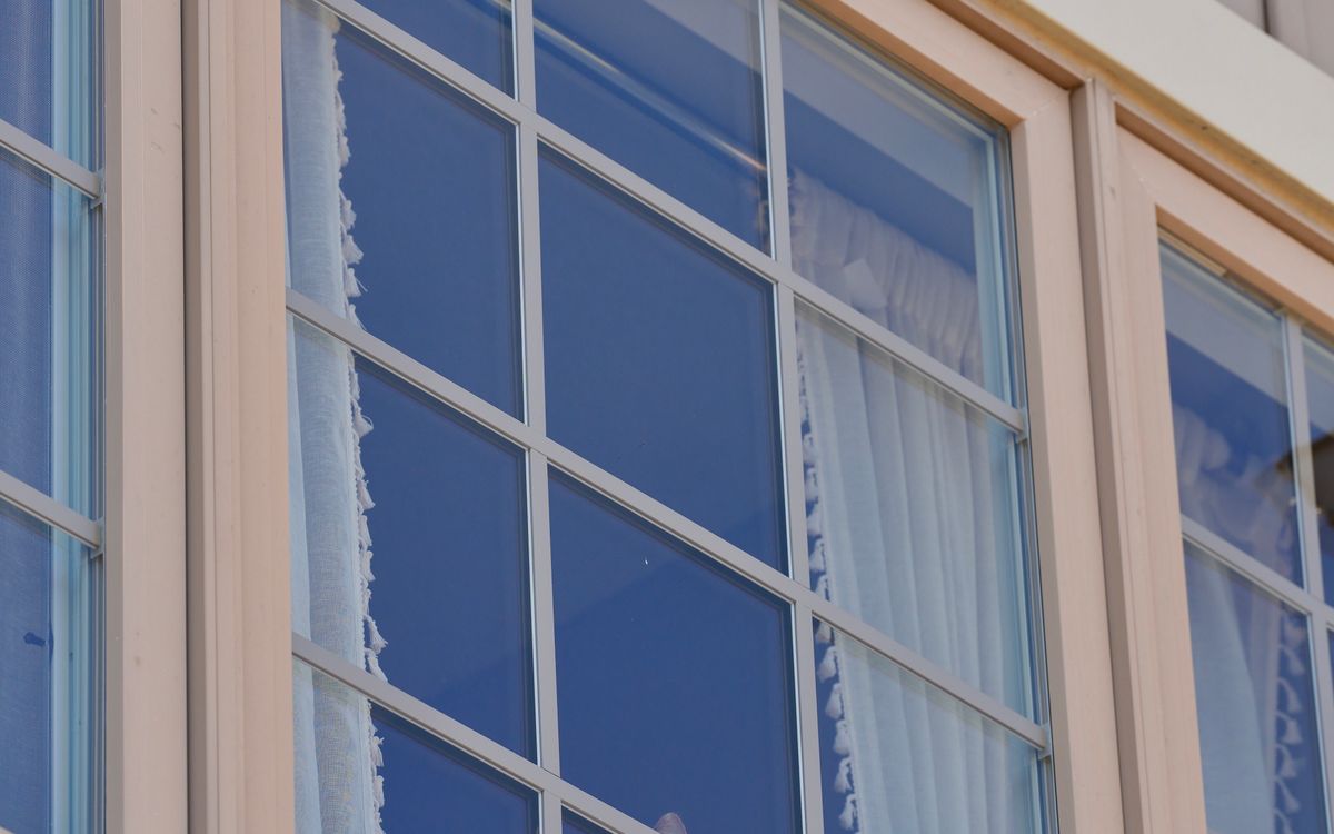 A cat resting quietly by a large window